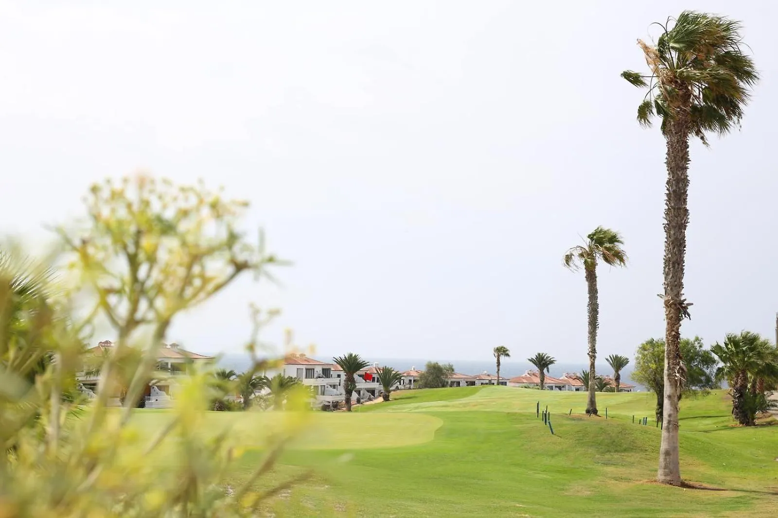 Villa Amarilla Golf 圣米格尔德阿沃纳